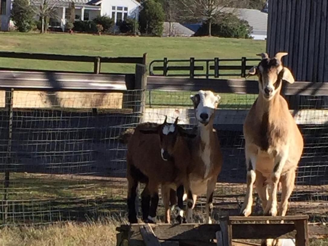 The Farmhouse Inn Buckhead 外观 照片