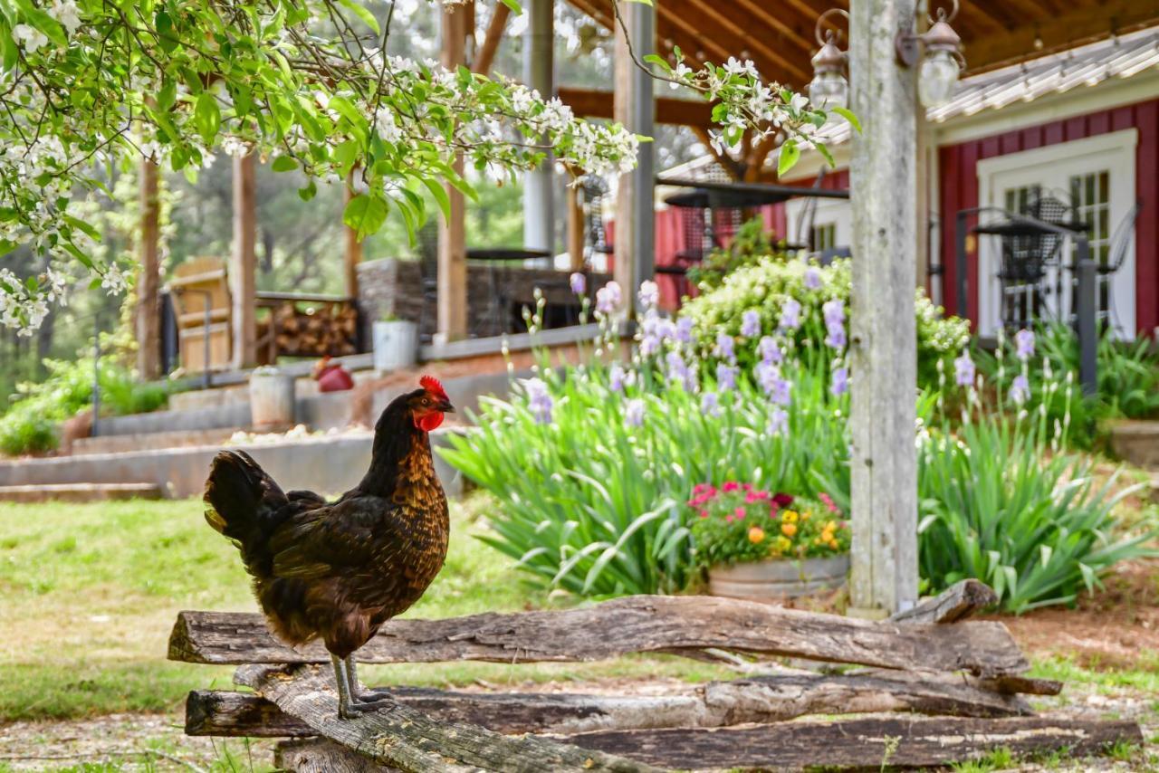 The Farmhouse Inn Buckhead 外观 照片